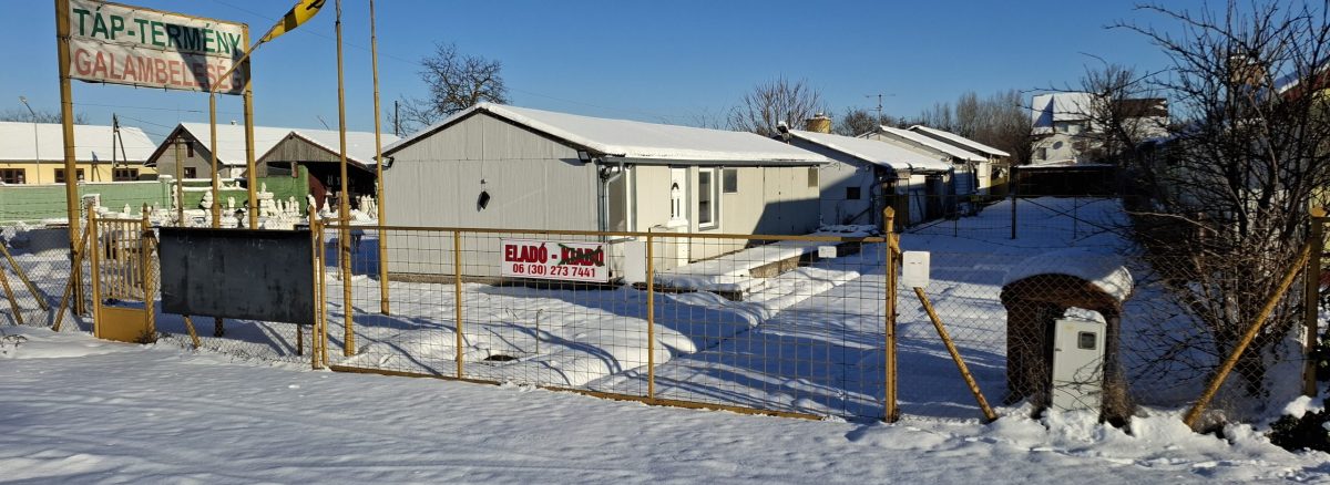 Gksz-6 övezeti telek, raktárépületekkel, építési engedéllyel, Monoron!