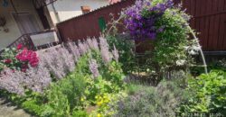 Eladó családi ház Bodonyban (Heves vm)