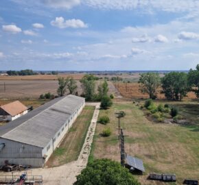 Raklapos és ömlesztett áru tárolására kiadó tárolók