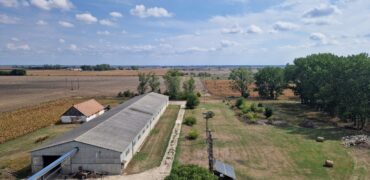 Raklapos és ömlesztett áru tárolására kiadó tárolók