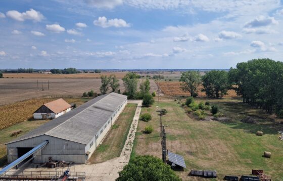 Raklapos és ömlesztett áru tárolására kiadó tárolók