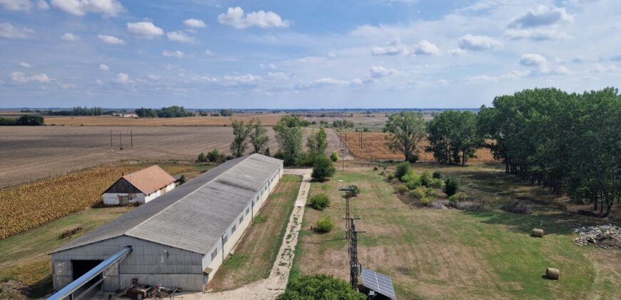 Raklapos és ömlesztett áru tárolására kiadó tárolók