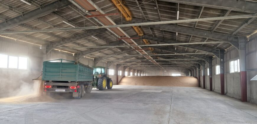 Raklapos és ömlesztett áru tárolására kiadó tárolók