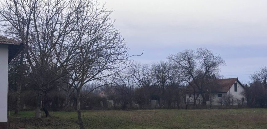 eladó hangulatos parasztház Vésztőn