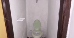 eladó hangulatos parasztház Vésztőn