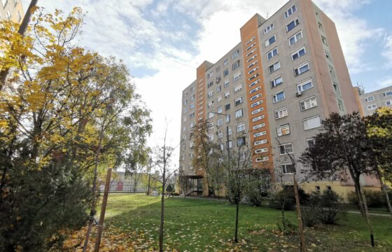 Kecskemét Széchenyivárosban NYÍLÁSZÁRÓCSERÉLT, FŰTÉSKORSZERŰSÍTETT, 2 szobás lakás