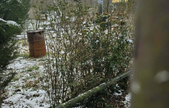 Tükörhegy lábánál Törökbálinton eladó bontandó családi ház