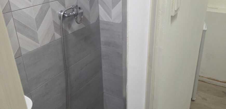 Budapest 07, Középső Erzsébetváros / társasházi lakás / tégla / 1 szoba / 8 m²